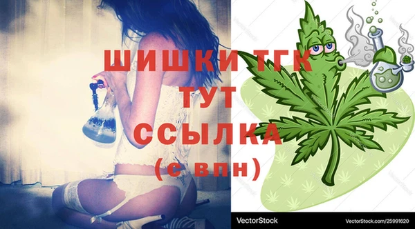 эйфоретик Богородицк