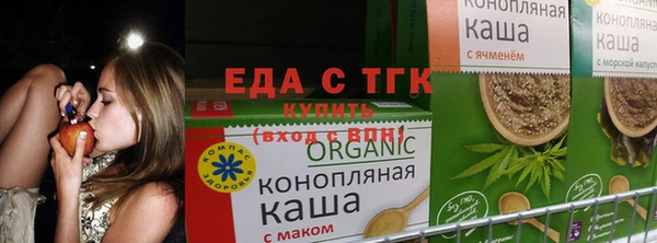 эйфоретик Богородицк
